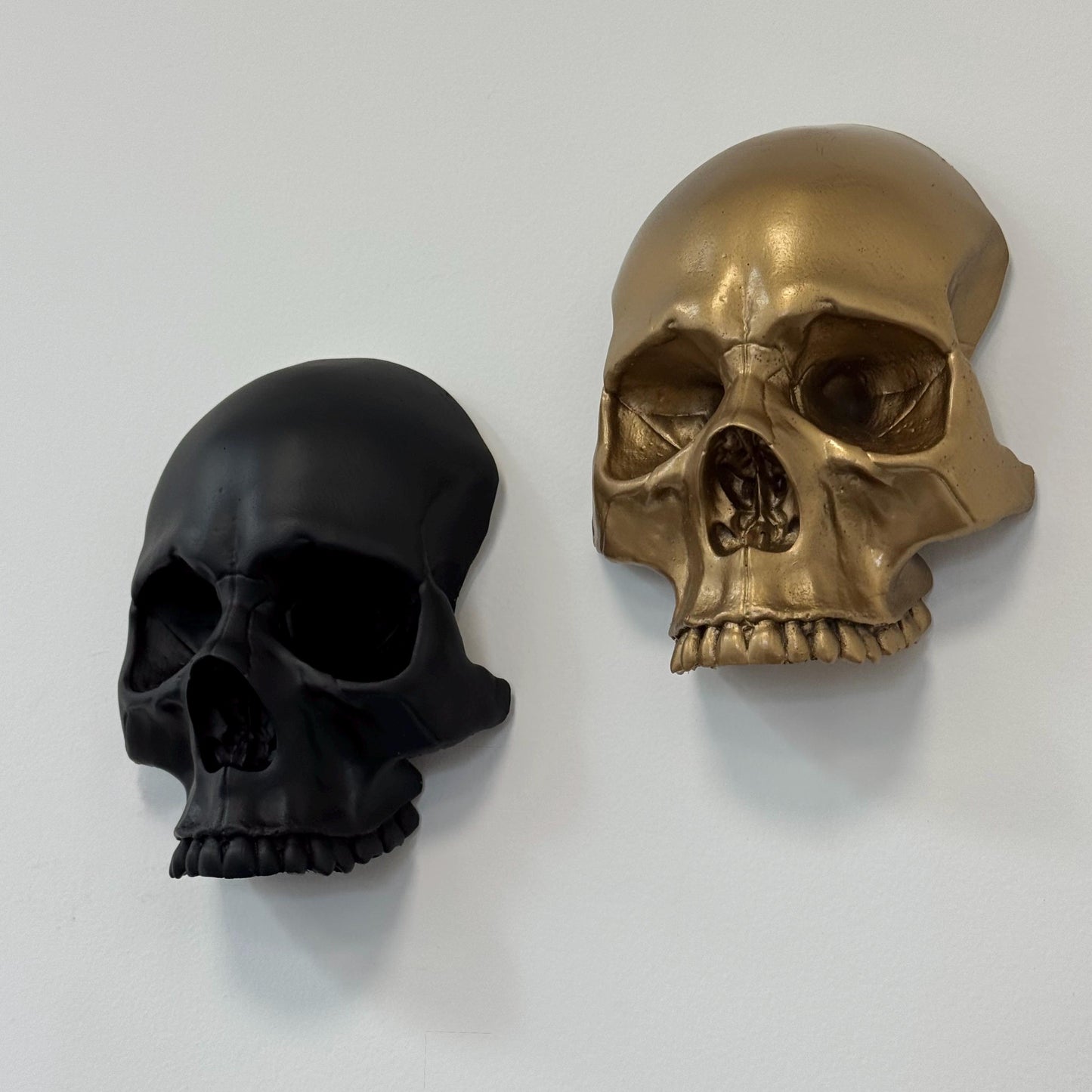 Skull Wall Mounted