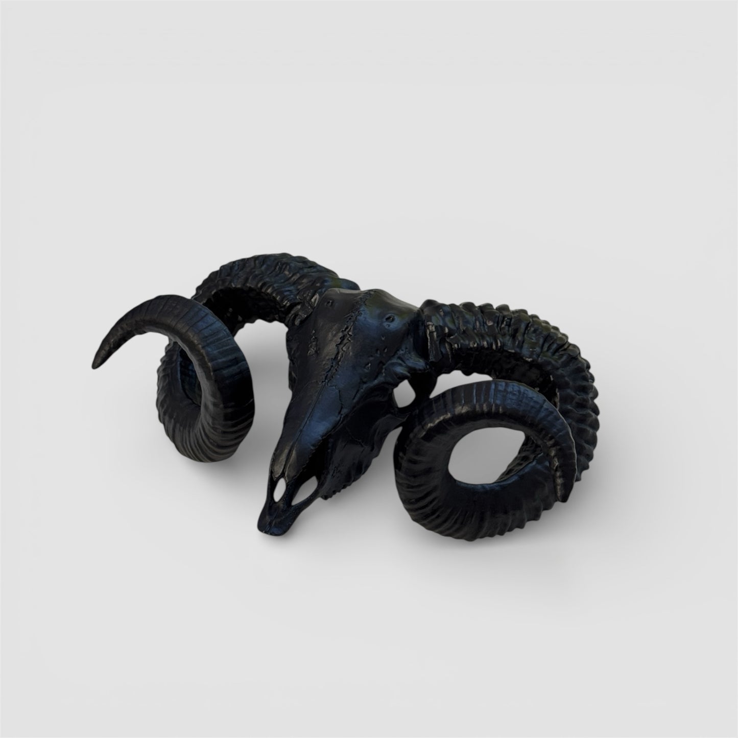 Ram Skull Wall Hanger