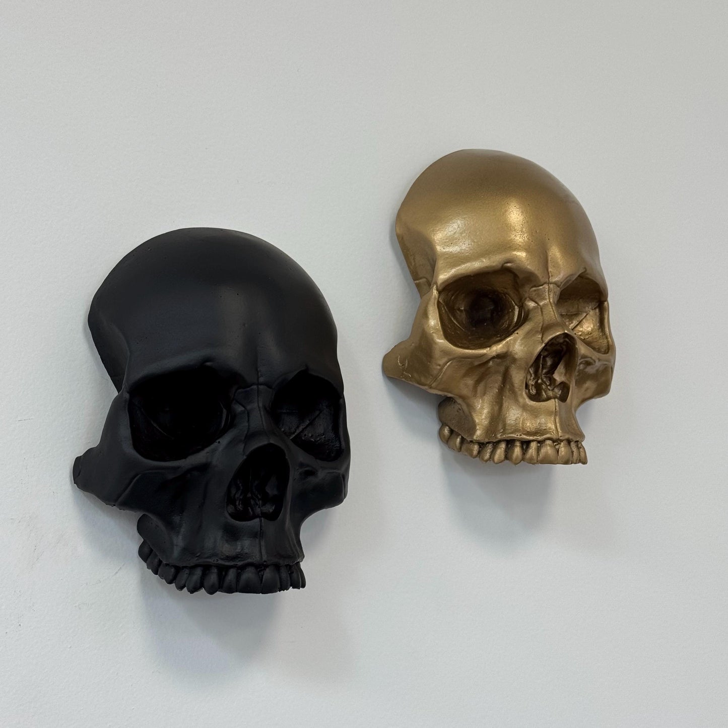 Skull Wall Mounted
