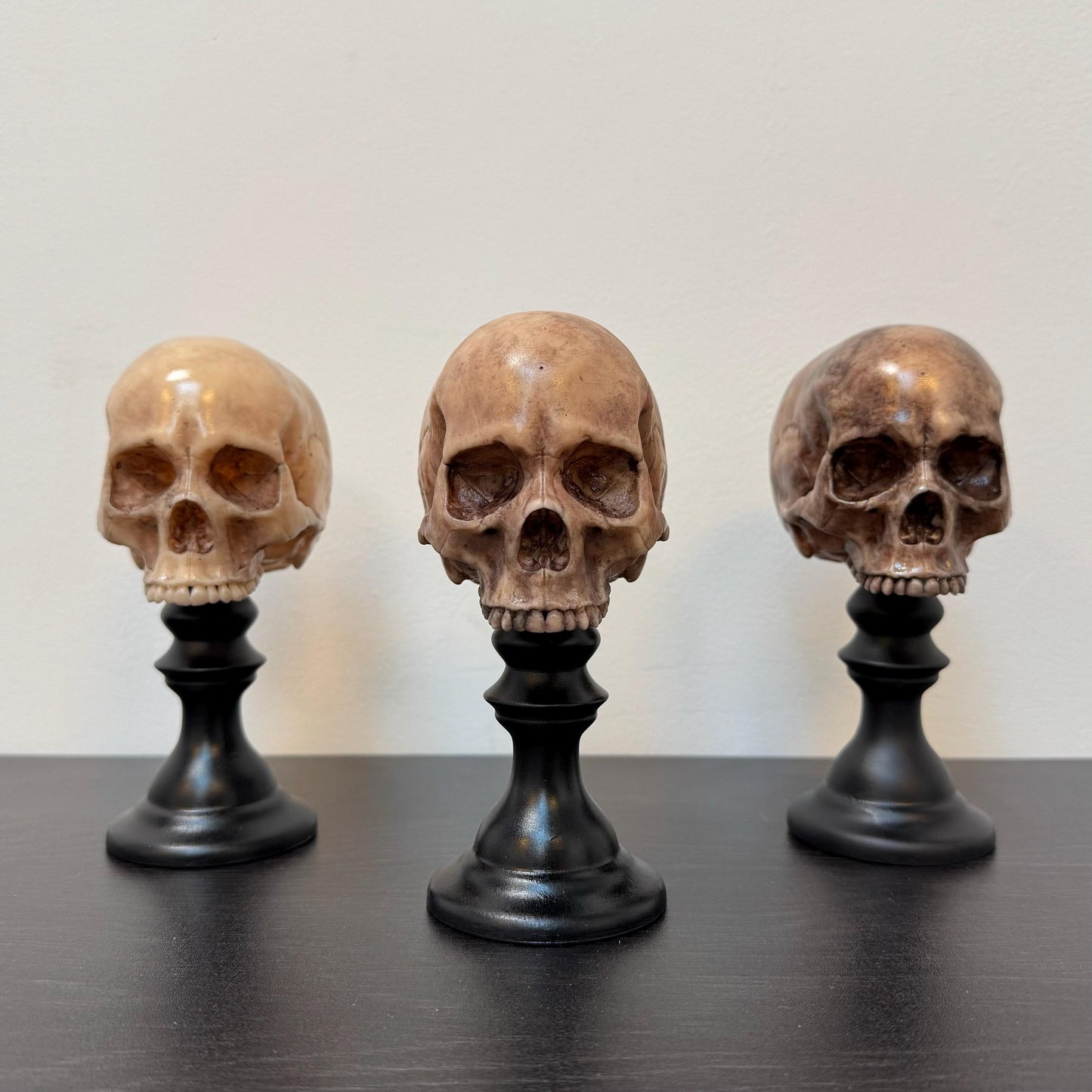 Skull Plinth