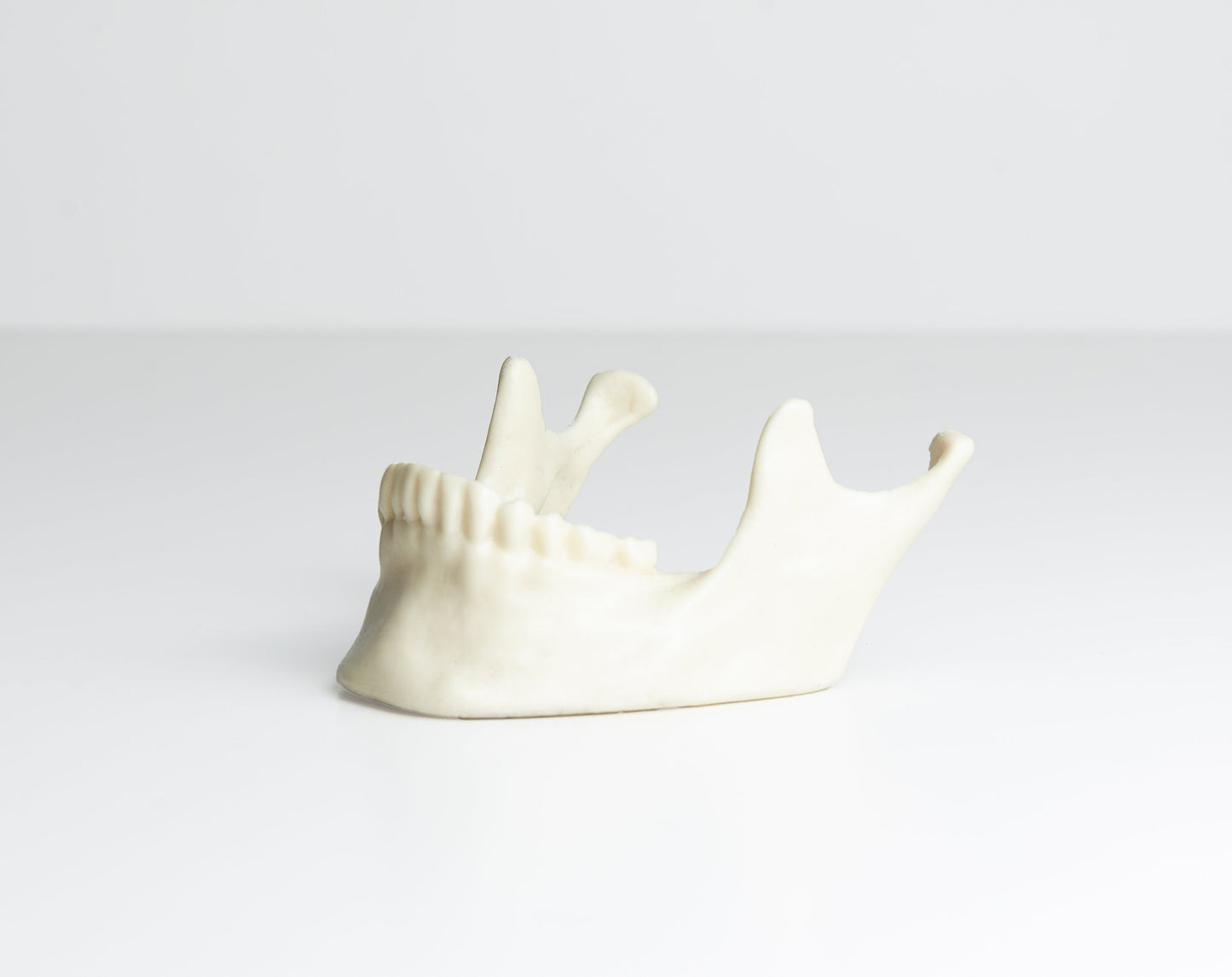 Jaw Table Number Holder - Business Card Holder
