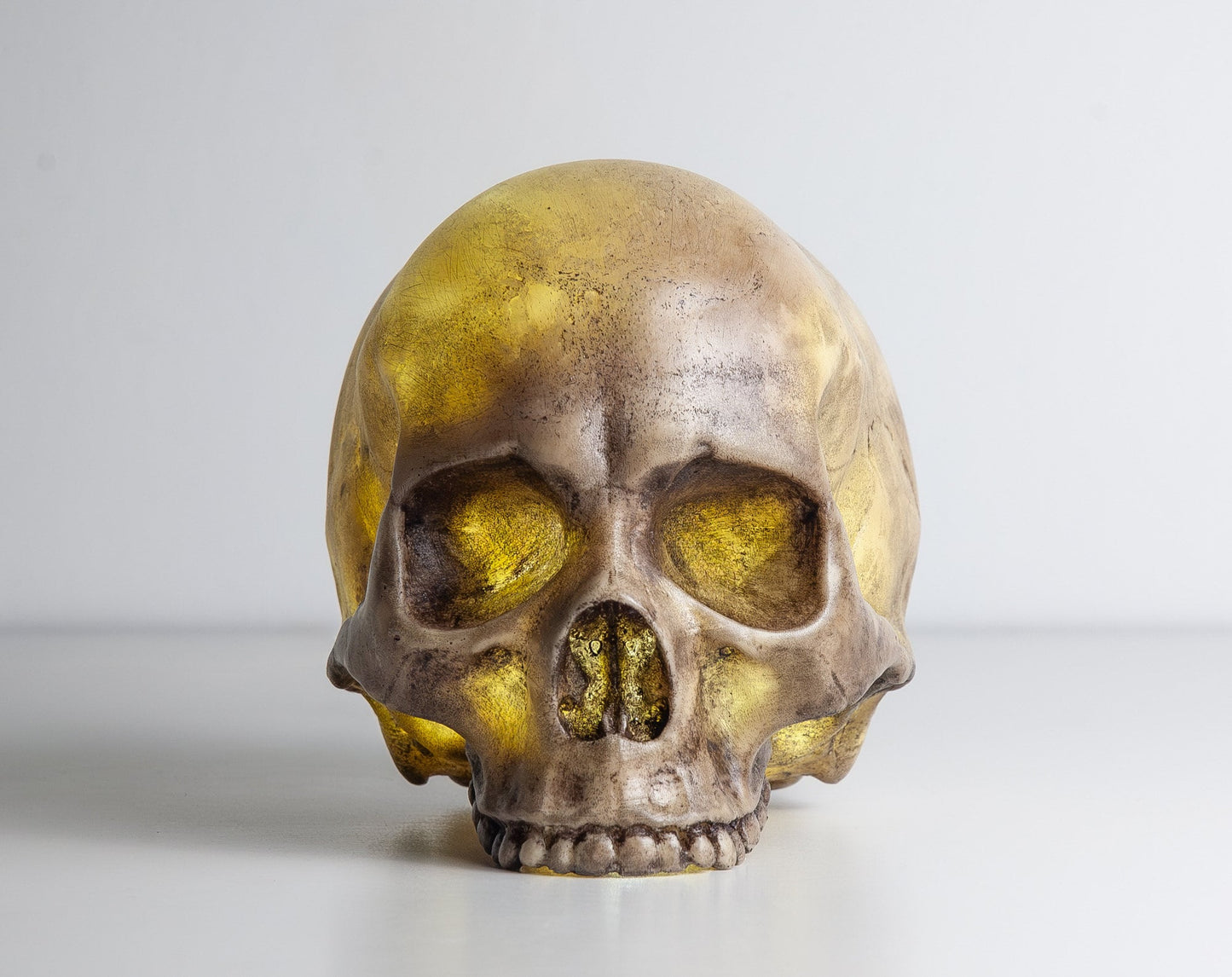 Skull Night Light