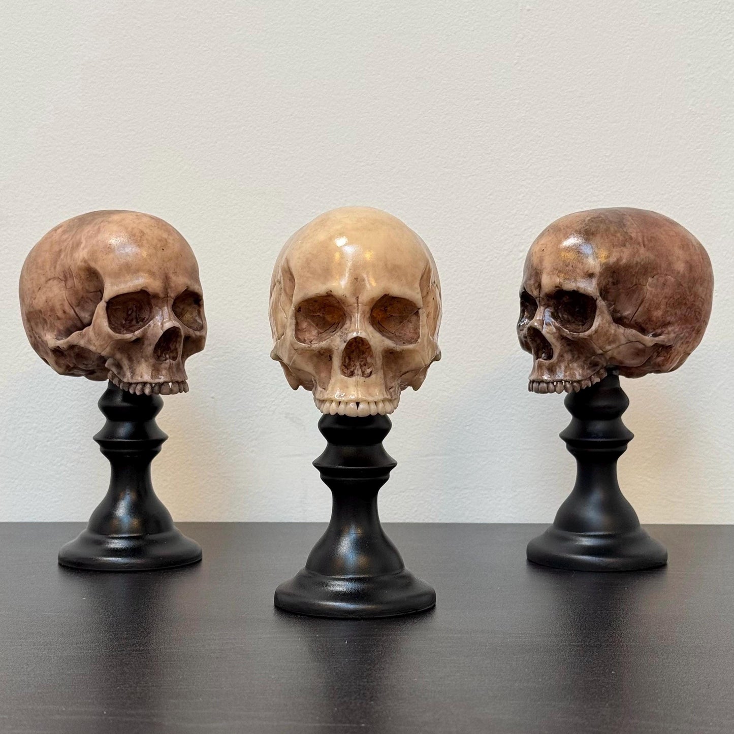 Skull Plinth