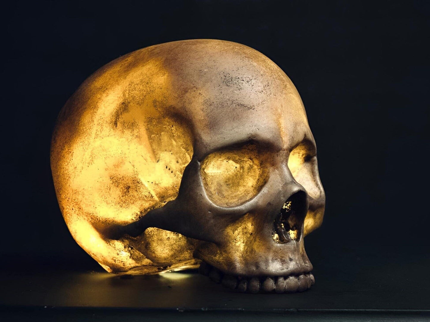 Skull Night Light