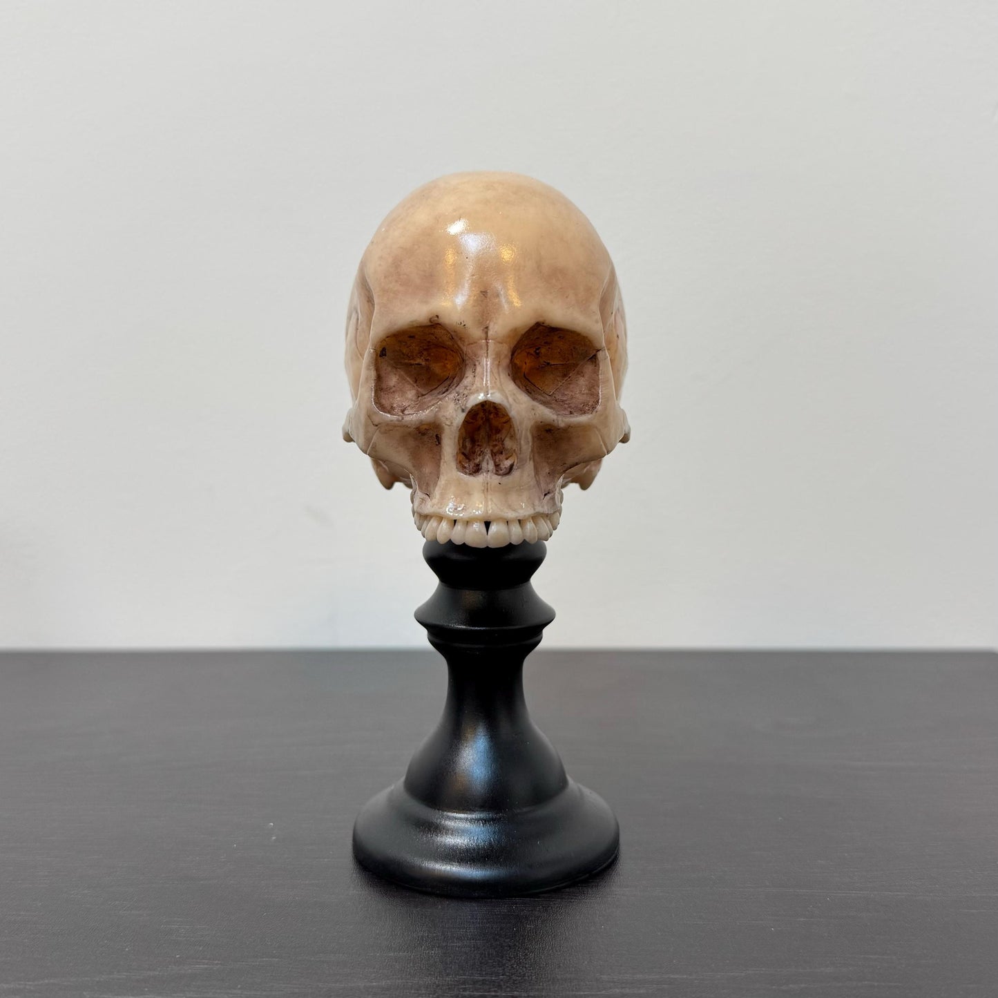 Skull Plinth