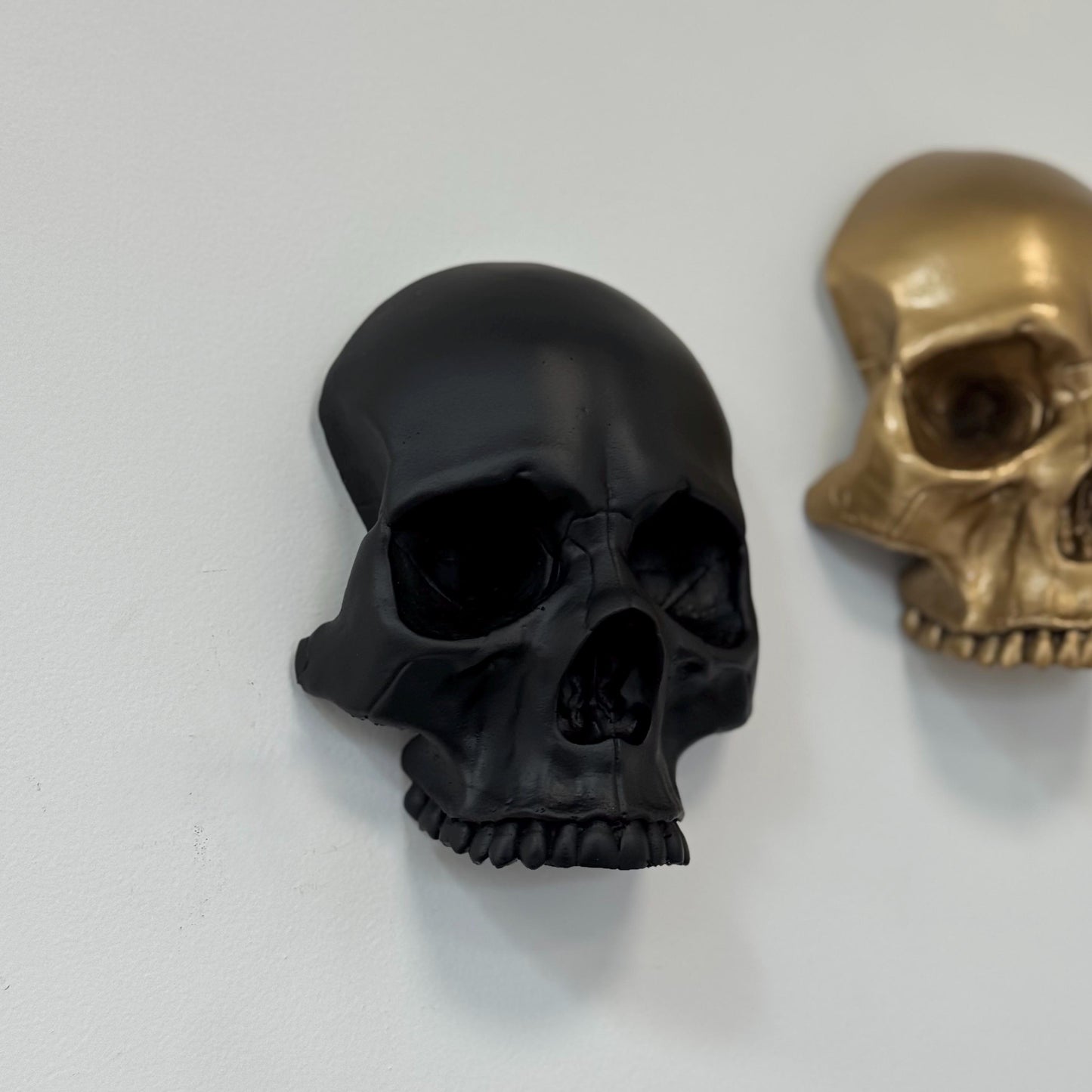Skull Wall Mounted