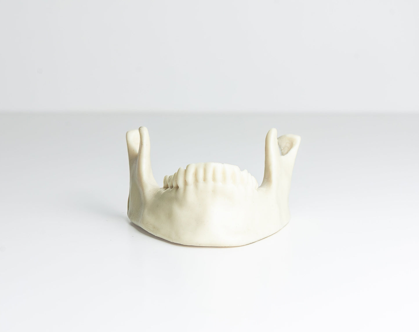 Jaw Table Number Holder - Business Card Holder