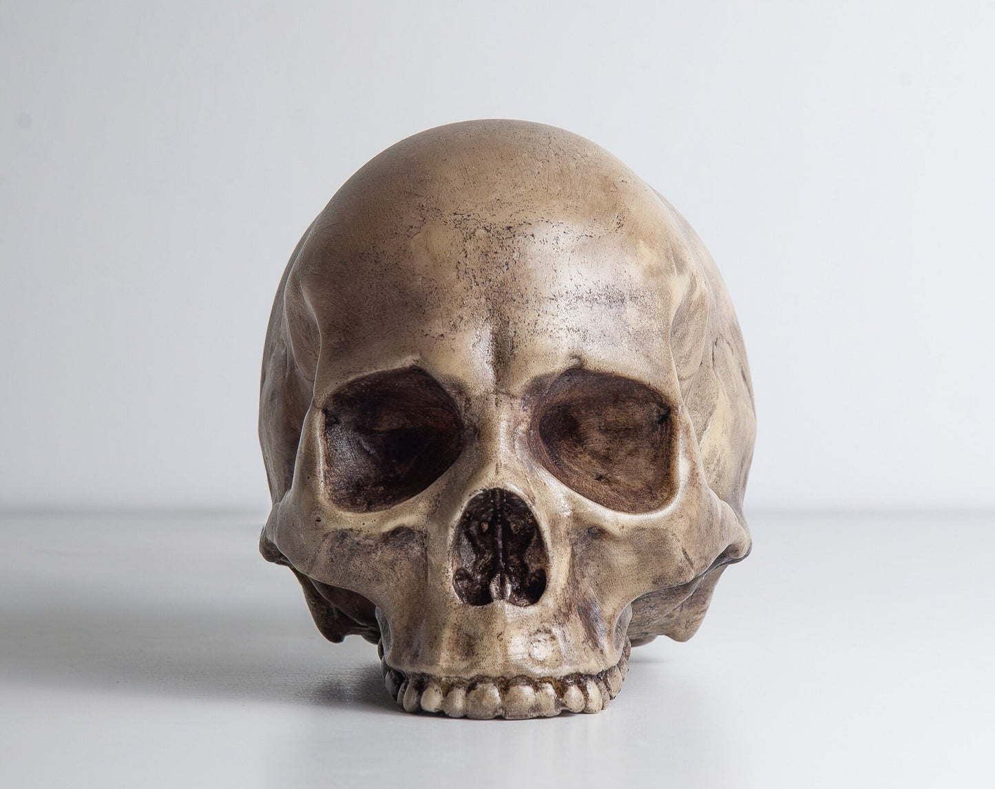 Skull Night Light