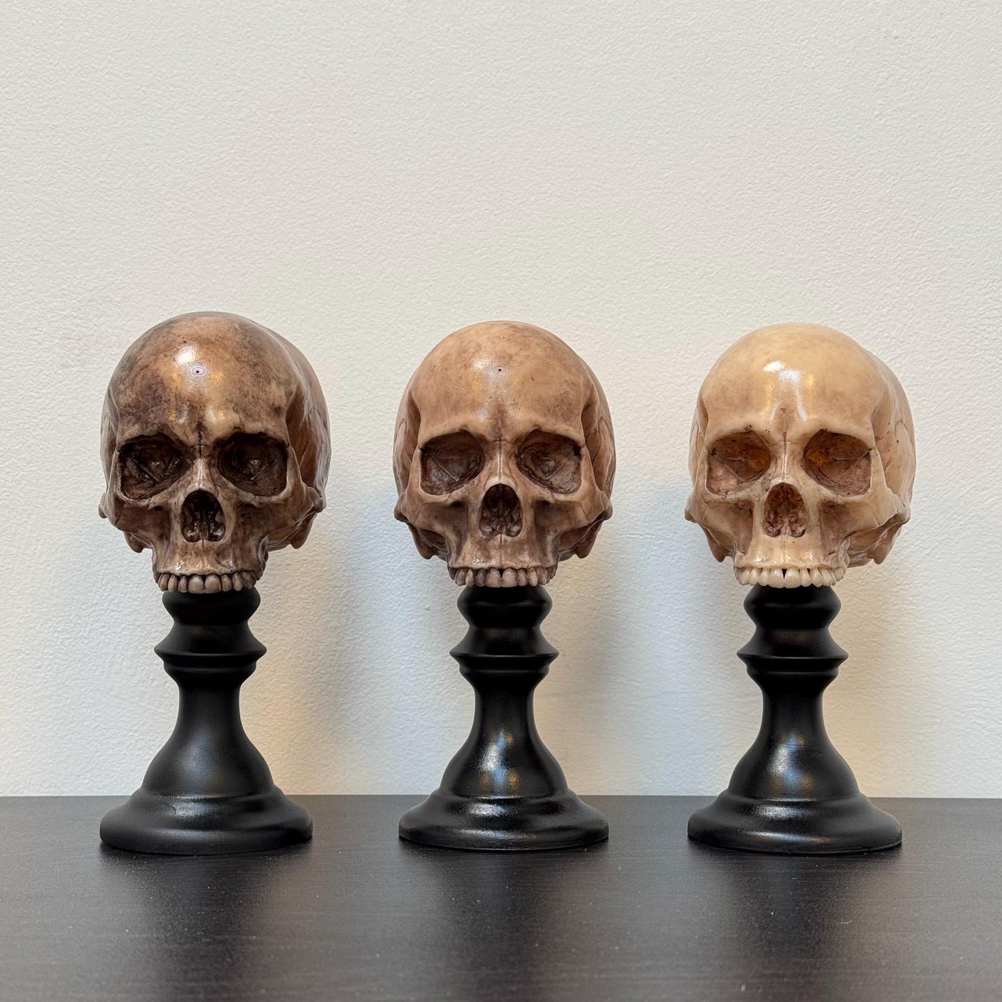 Skull Plinth