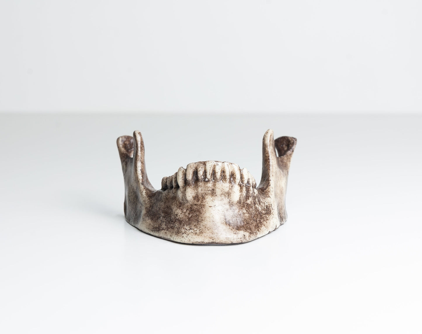Jaw Table Number Holder - Business Card Holder