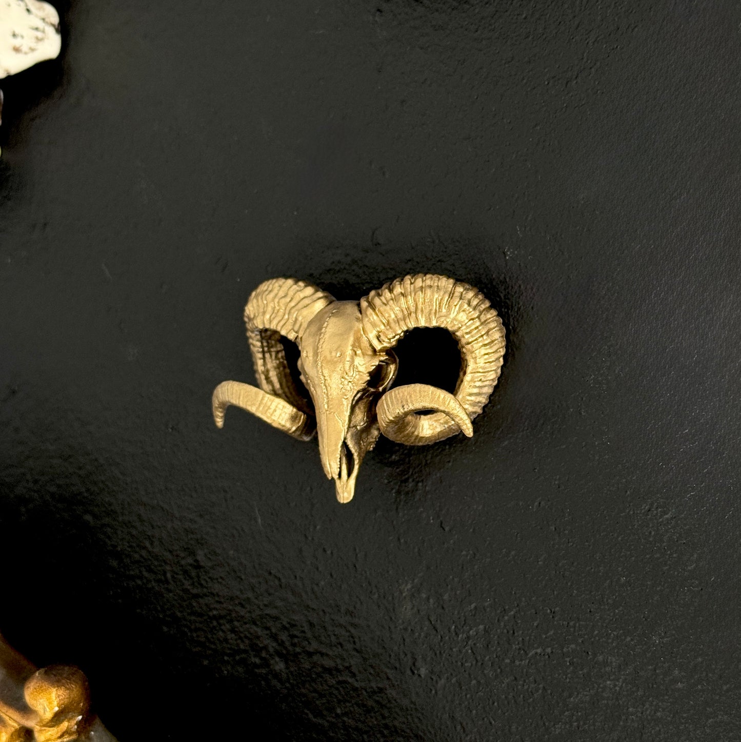 Ram Skull Gap Filler