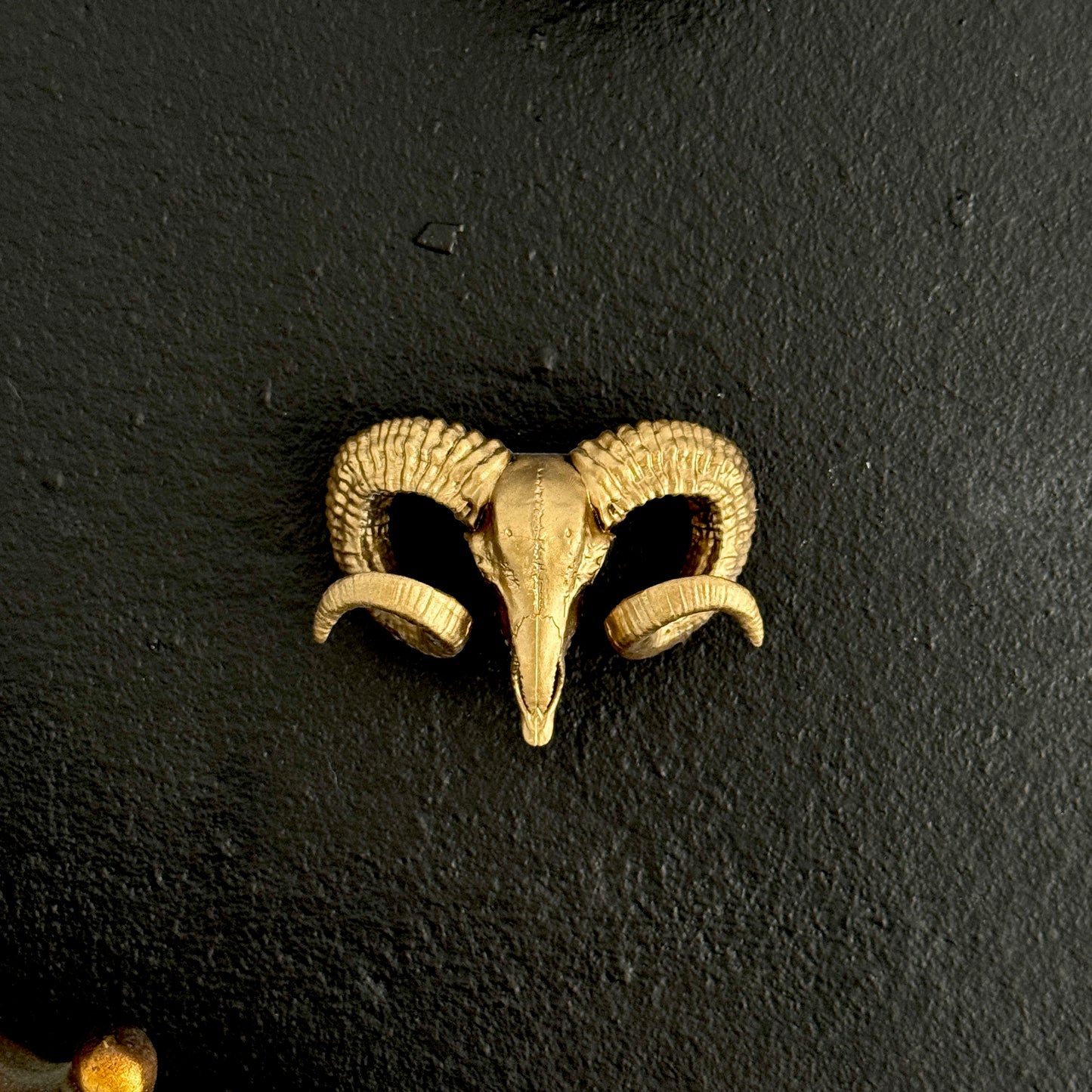 Ram Skull Gap Filler