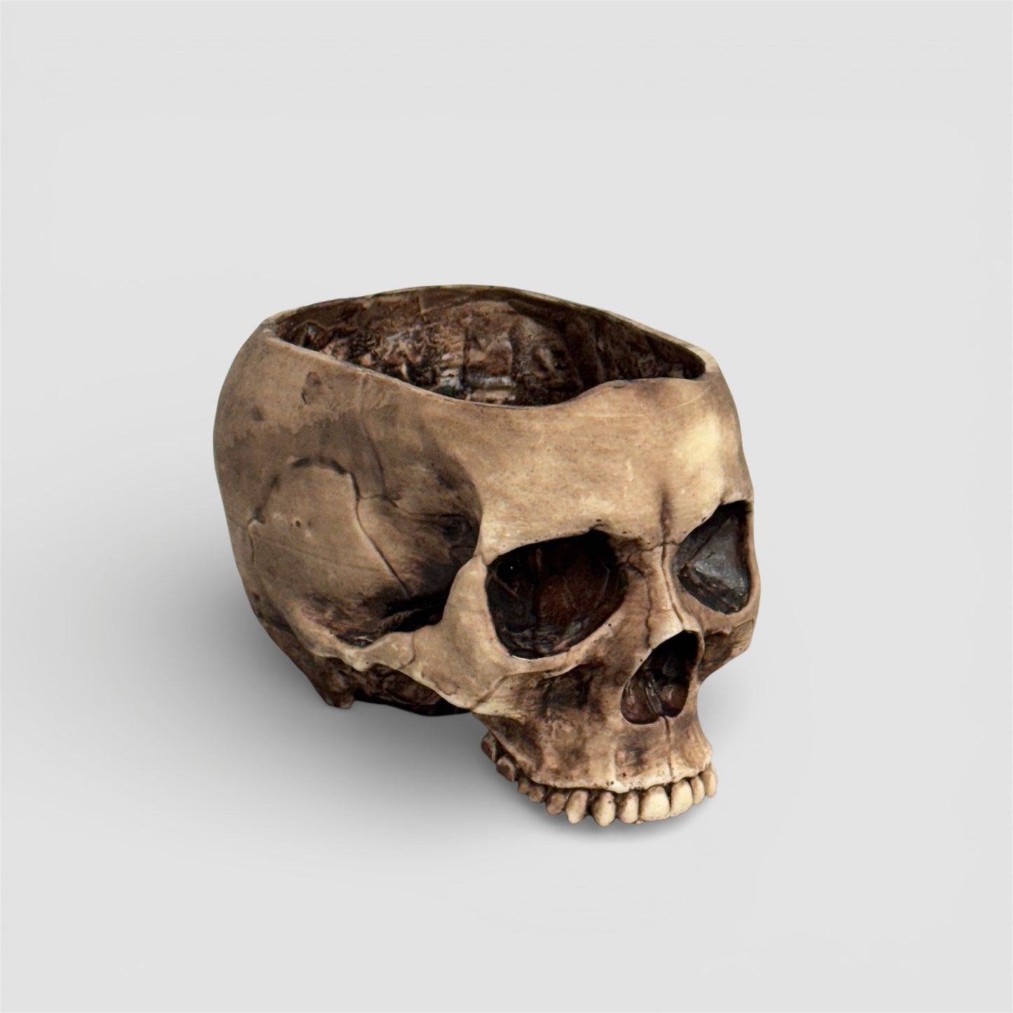Skull Planter Pot