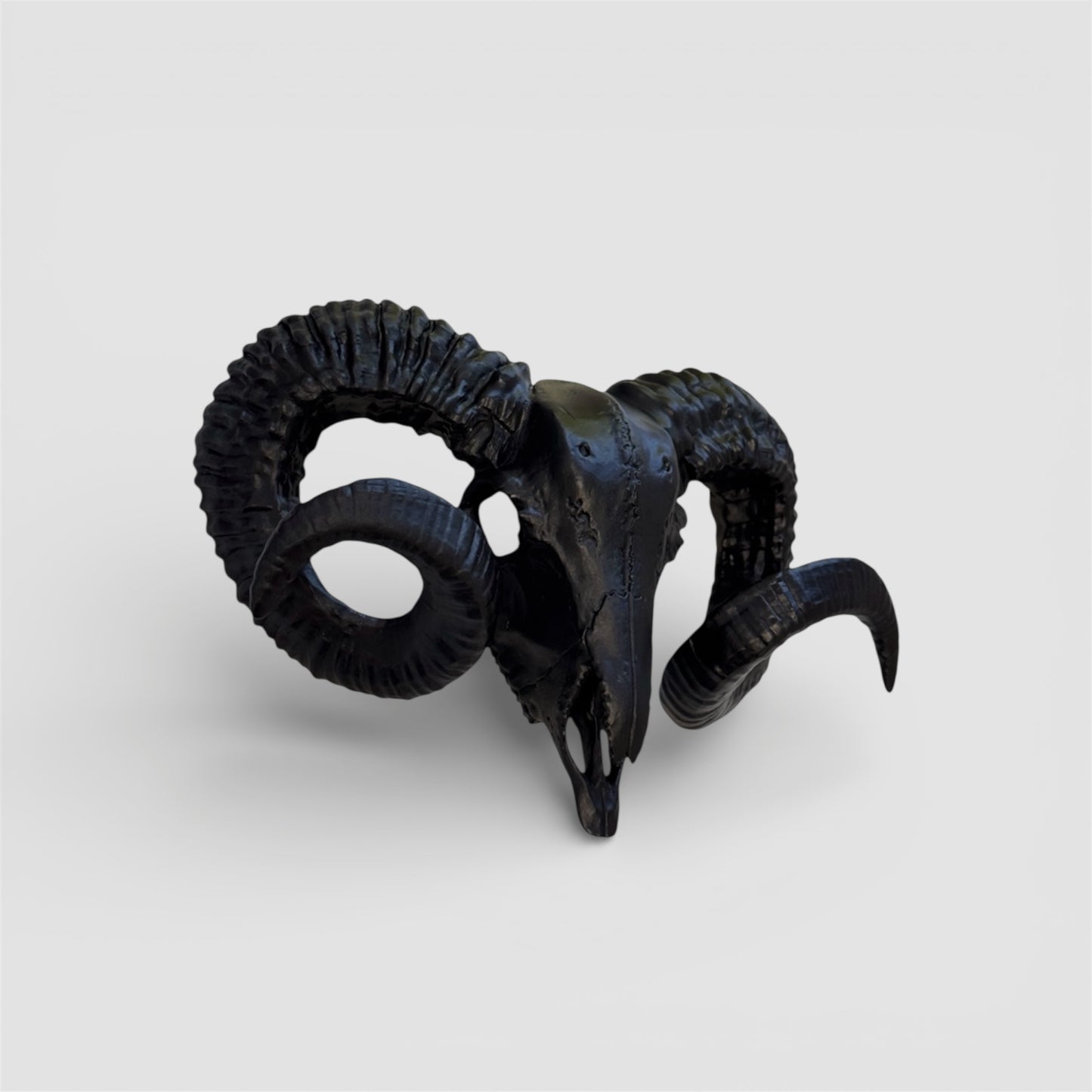 Ram Skull Wall Hanger