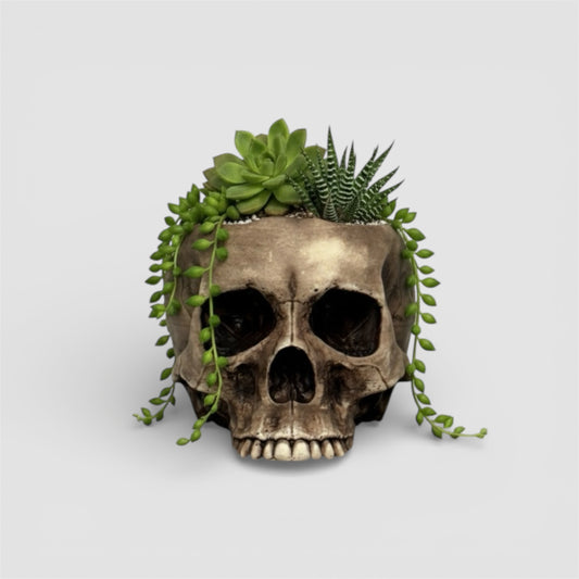 Skull Planter Pot