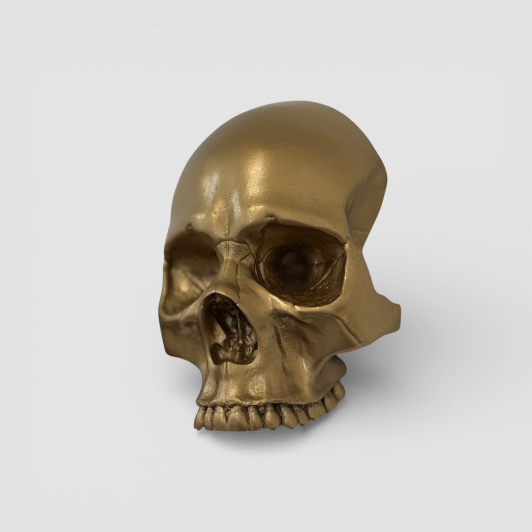 Skull Wall Mounted