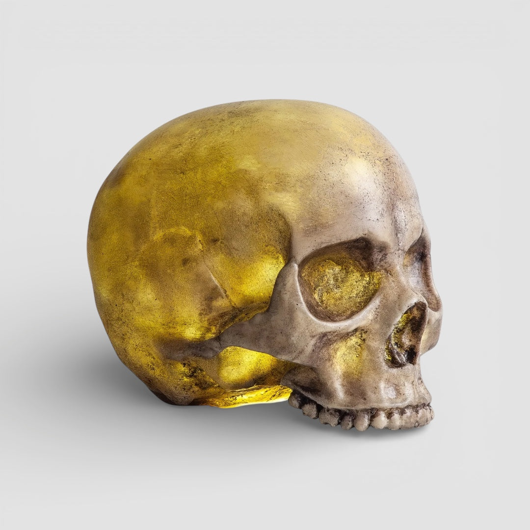 Skull Night Light