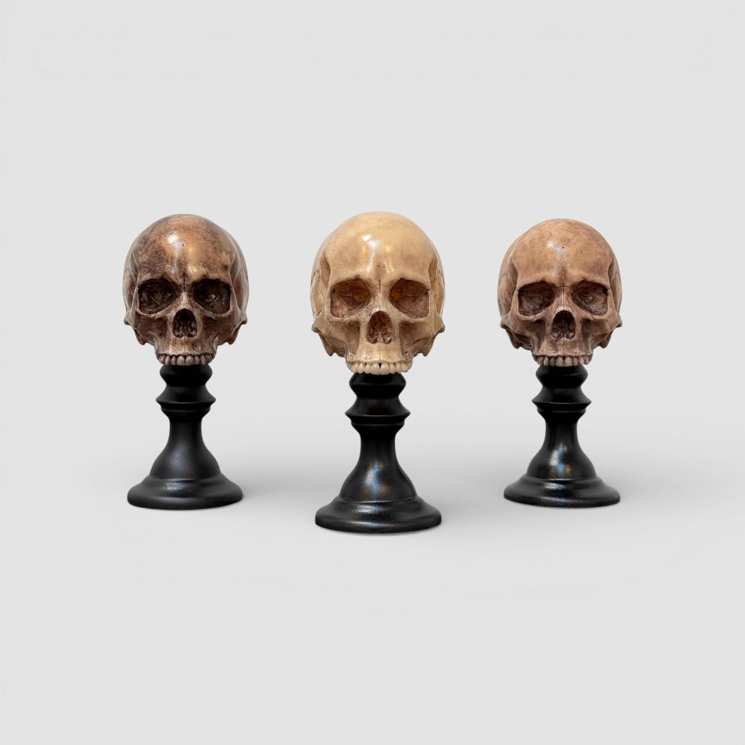 Skull Plinth