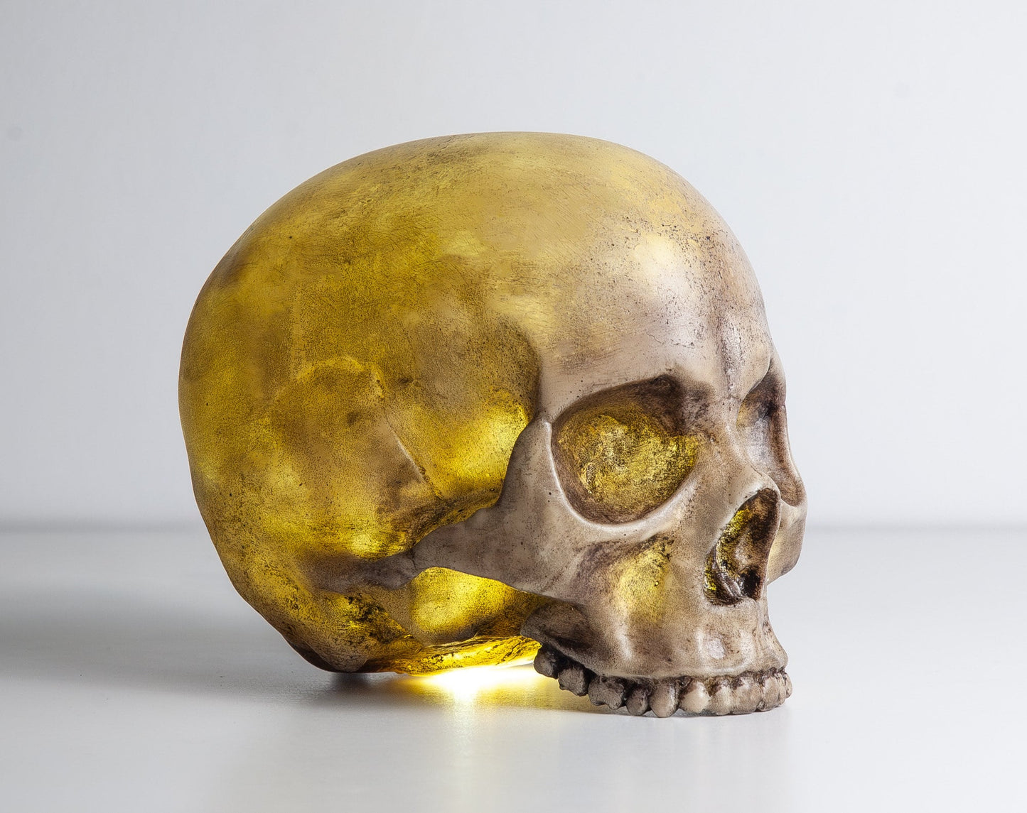 Skull Night Light