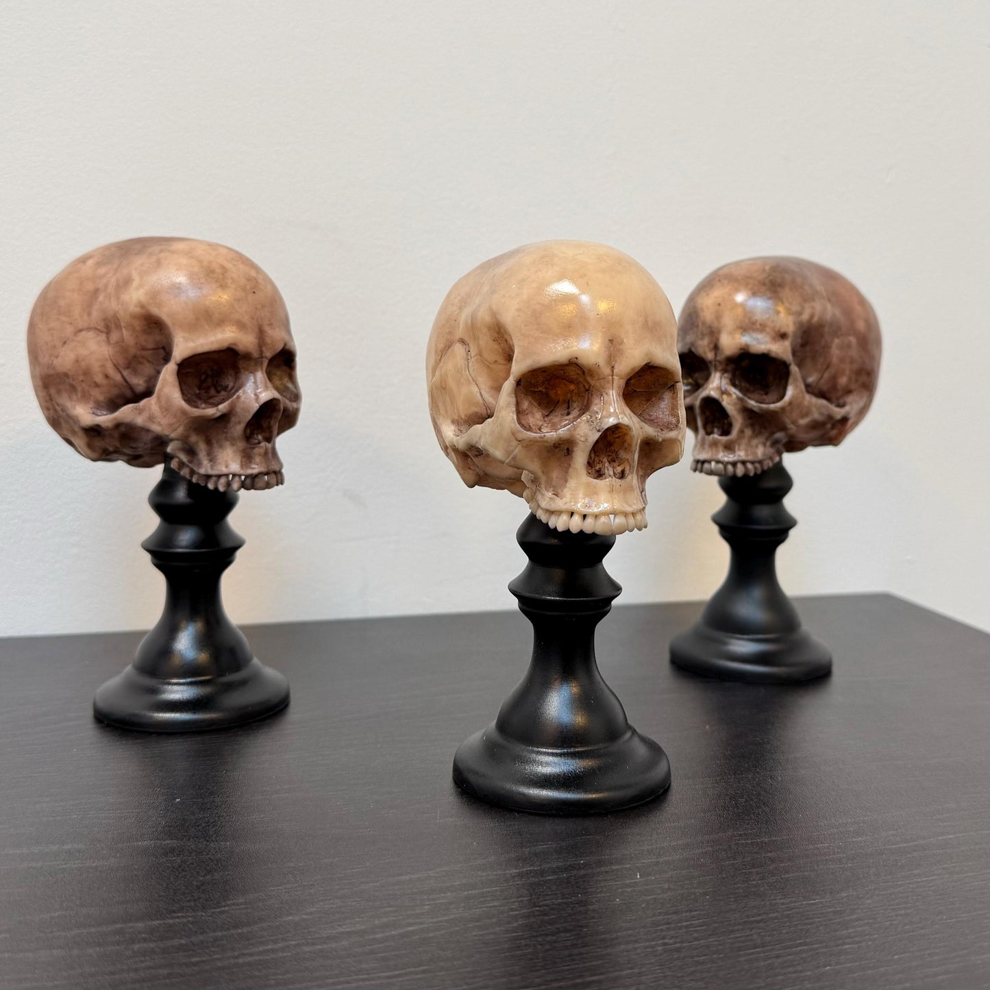 Skull Plinth