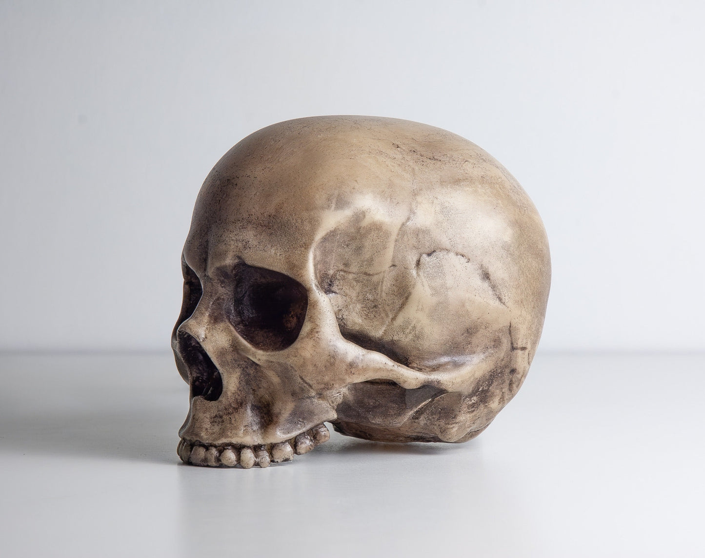 Skull Night Light