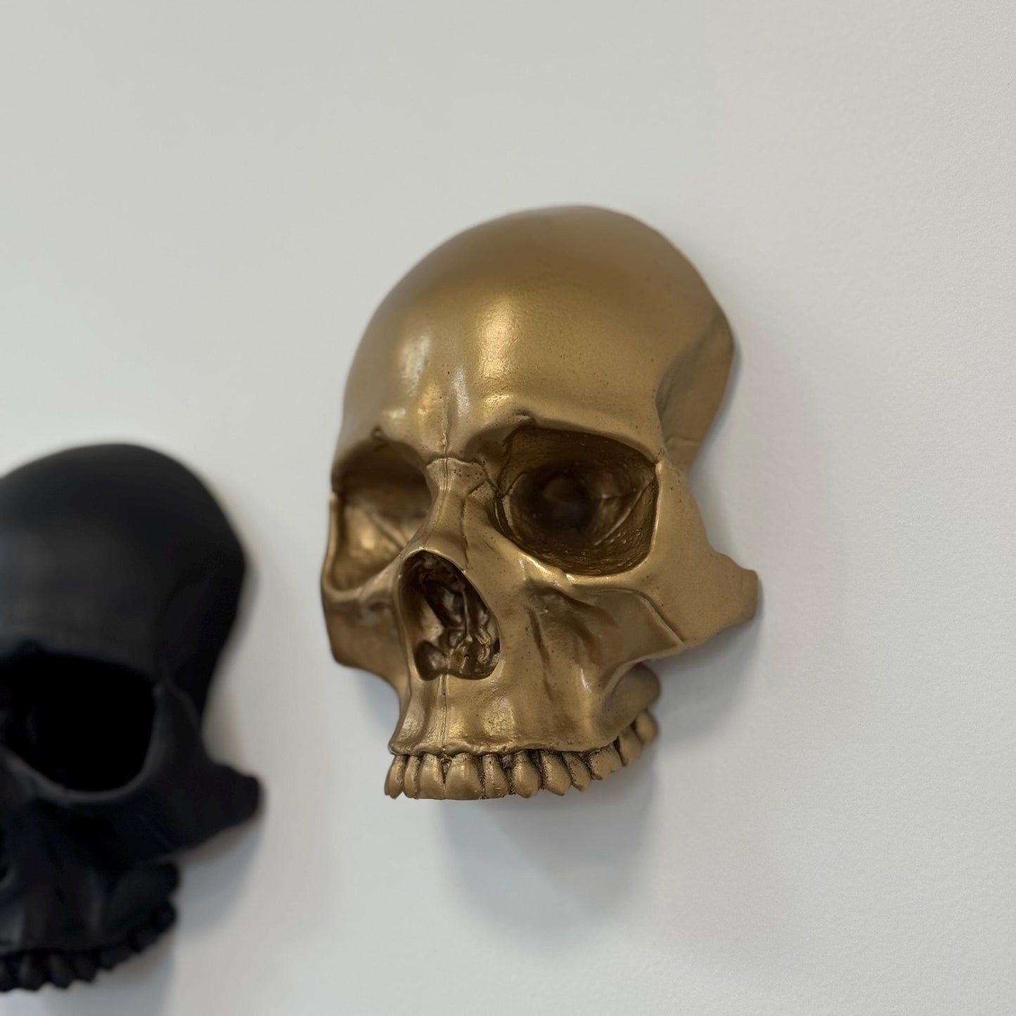 Skull Wall Mounted