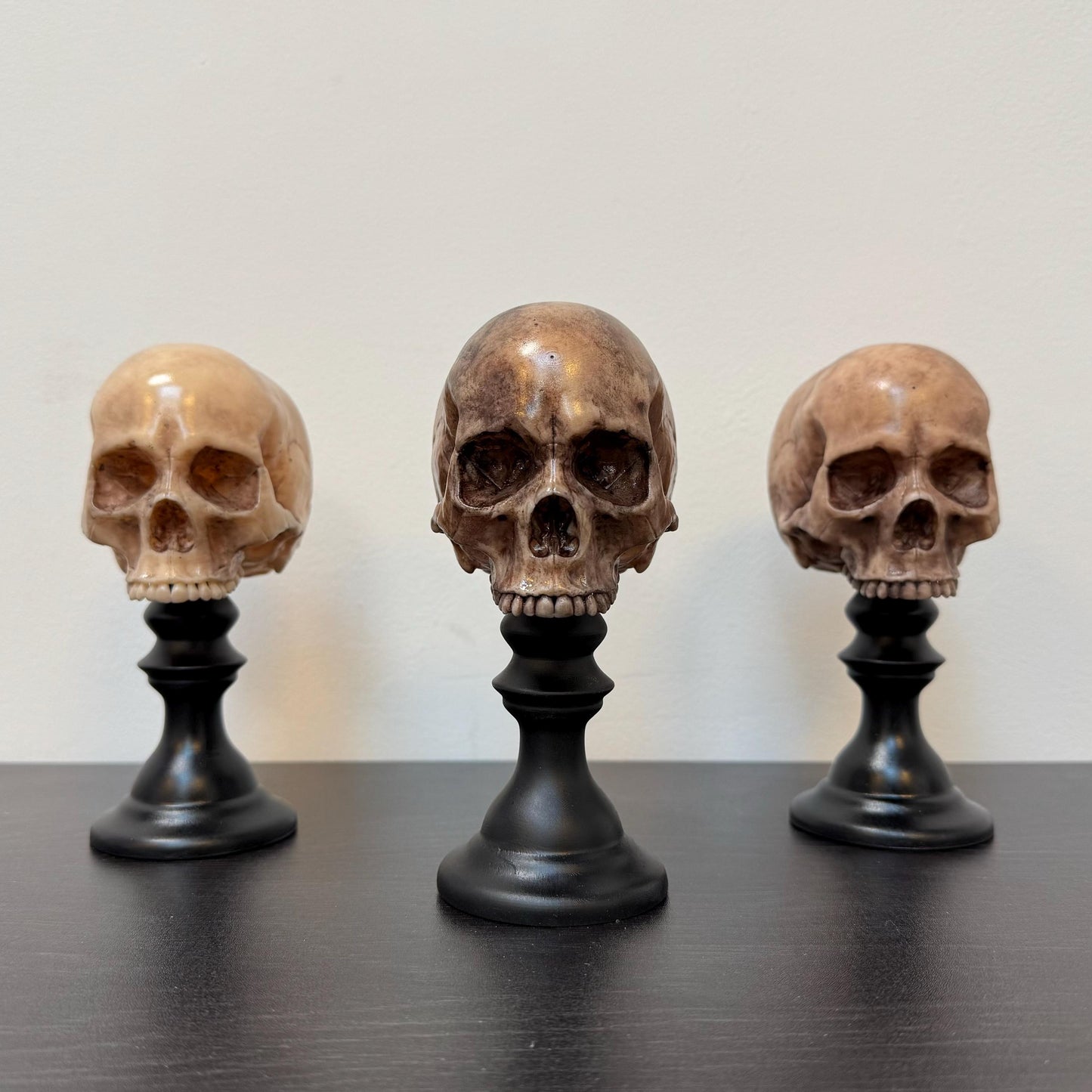 Skull Plinth