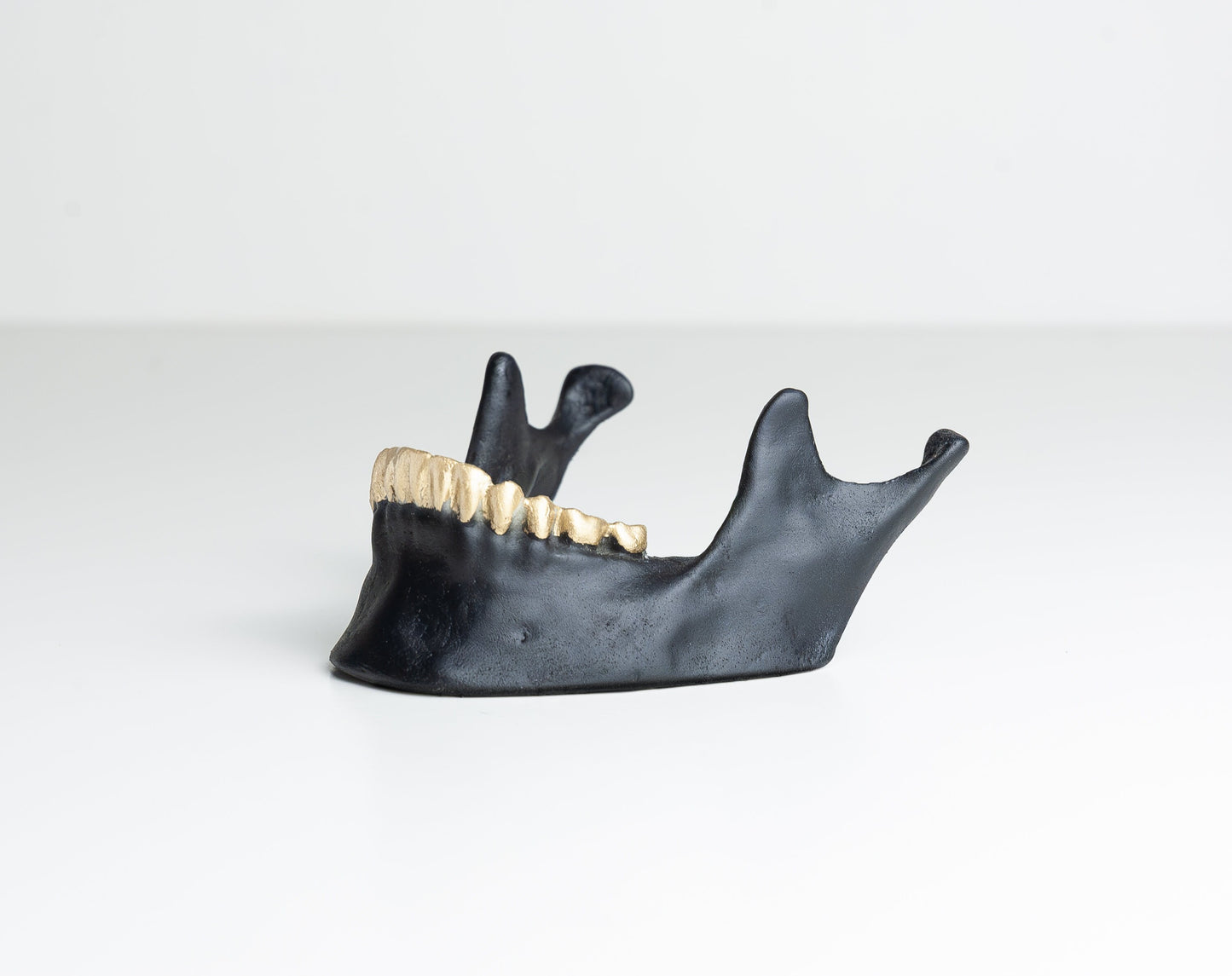 Jaw Table Number Holder - Business Card Holder