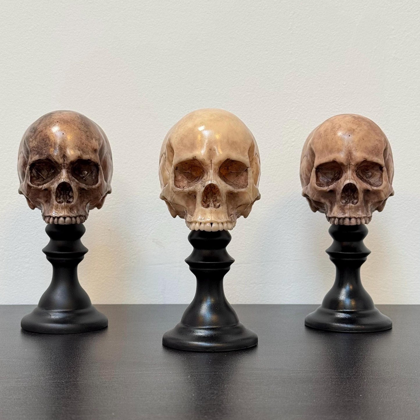 Skull Plinth